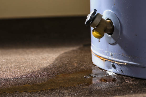 Best Commercial water damage restoration  in Fair Oaks, CA